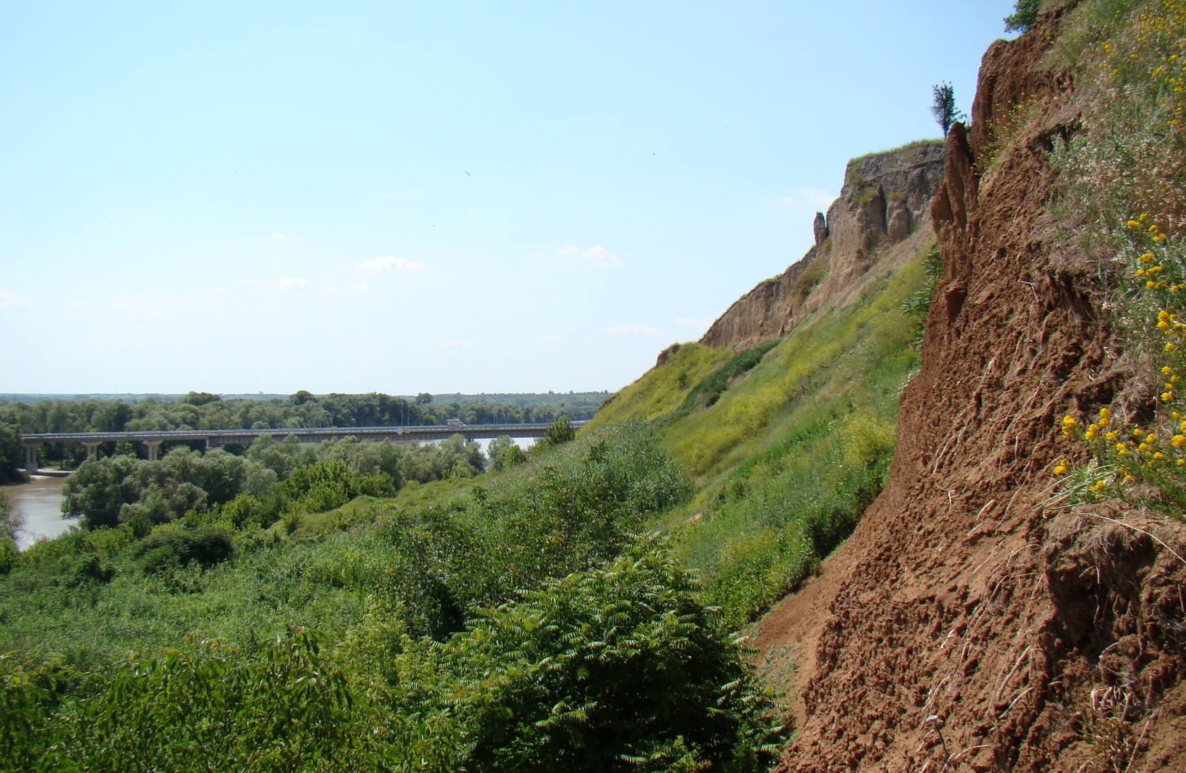 Берег Кубани в Усть-Лабинске, изображение ландшафта.