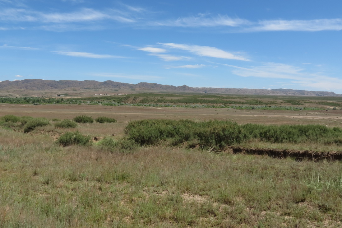 Таскескен, image of landscape/habitat.