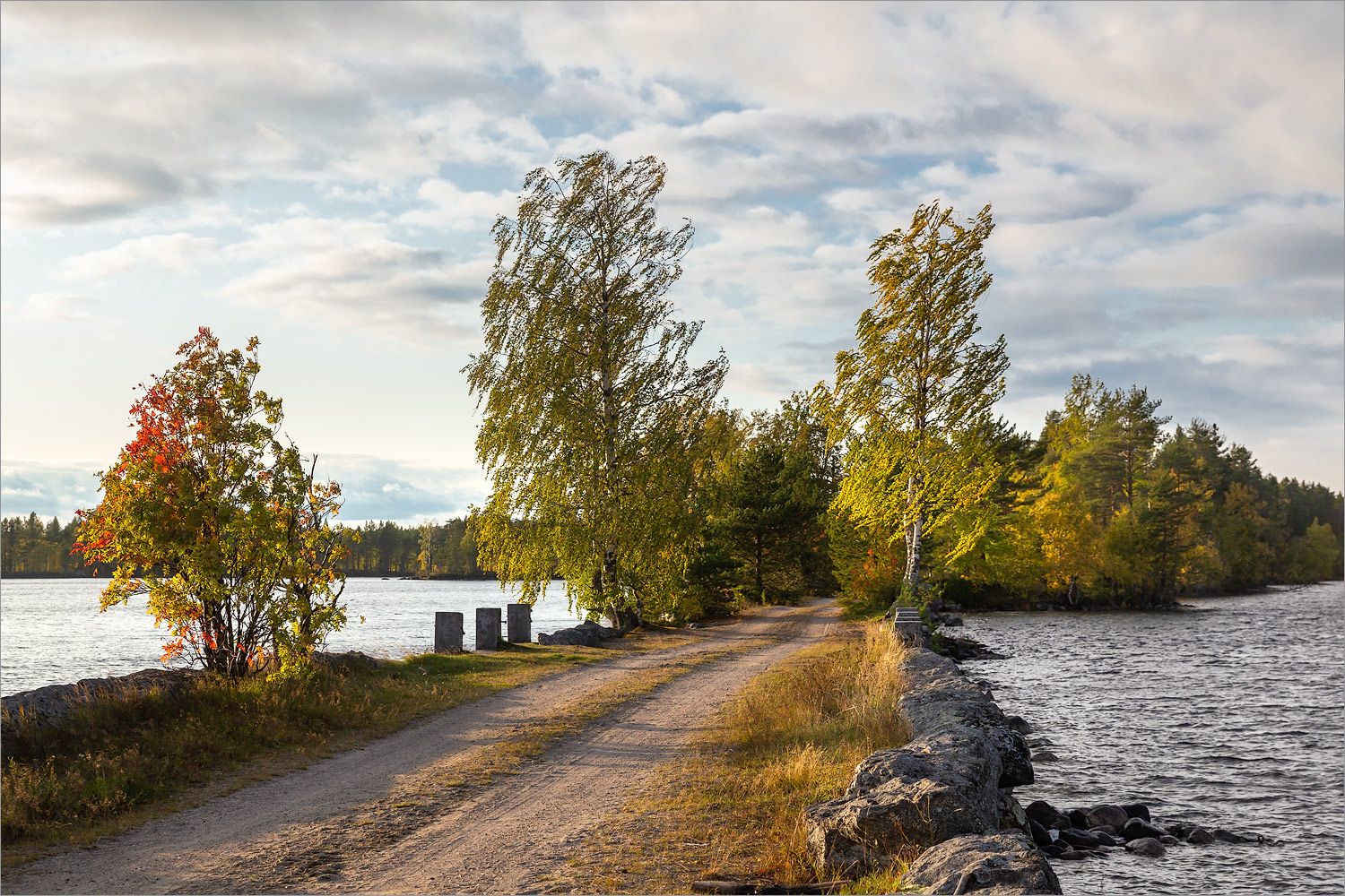 Толвоярви, image of landscape/habitat.