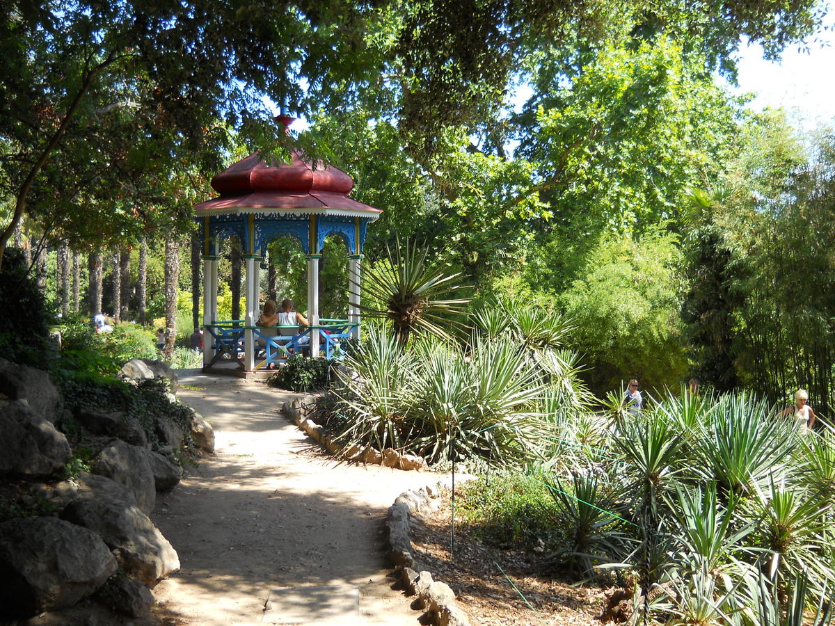 Никитский ботанический сад, image of landscape/habitat.