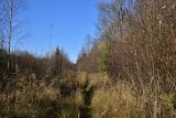 Каверино, image of landscape/habitat.