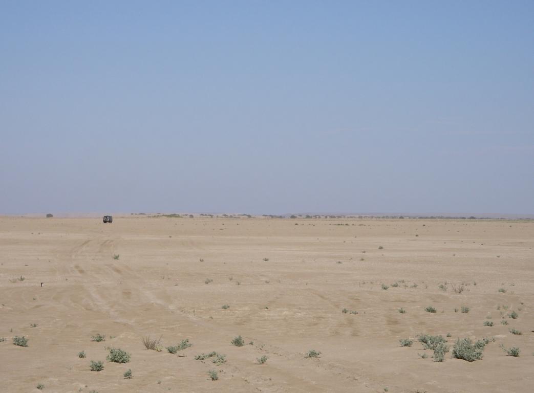 Барсакельмес, image of landscape/habitat.