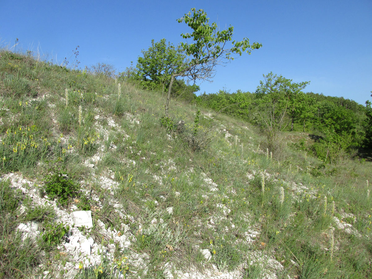 Окрестности Малиновки, image of landscape/habitat.