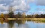 Низовья и устье Полуденной, image of landscape/habitat.