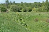 Image of landscape