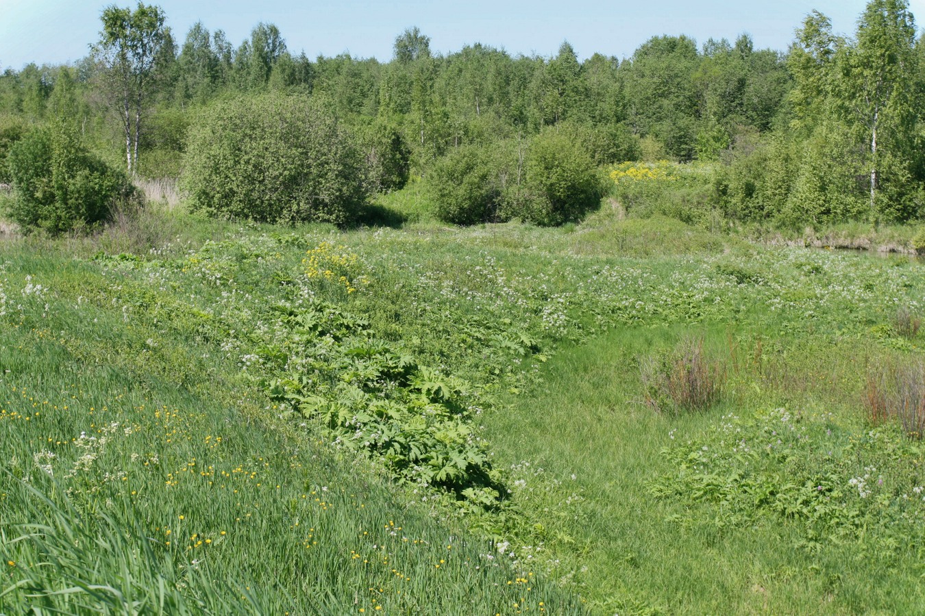 Окрестности Пудости, image of landscape/habitat.