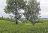 Image of landscape