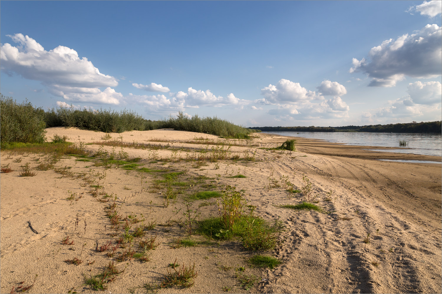 Стрелка Оки и Клязьмы, image of landscape/habitat.