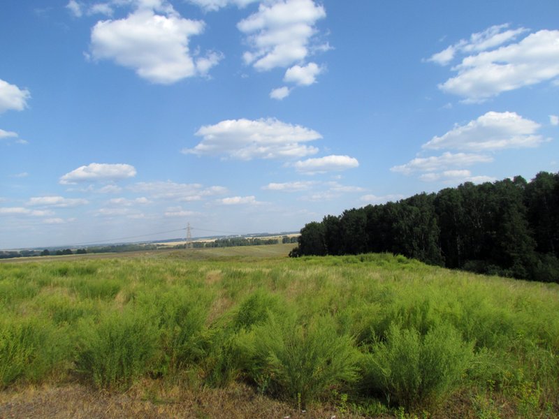 Титов Лог, image of landscape/habitat.