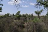 Image of landscape