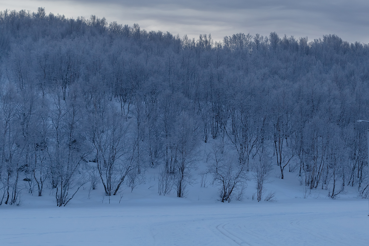 Мурманск, image of landscape/habitat.