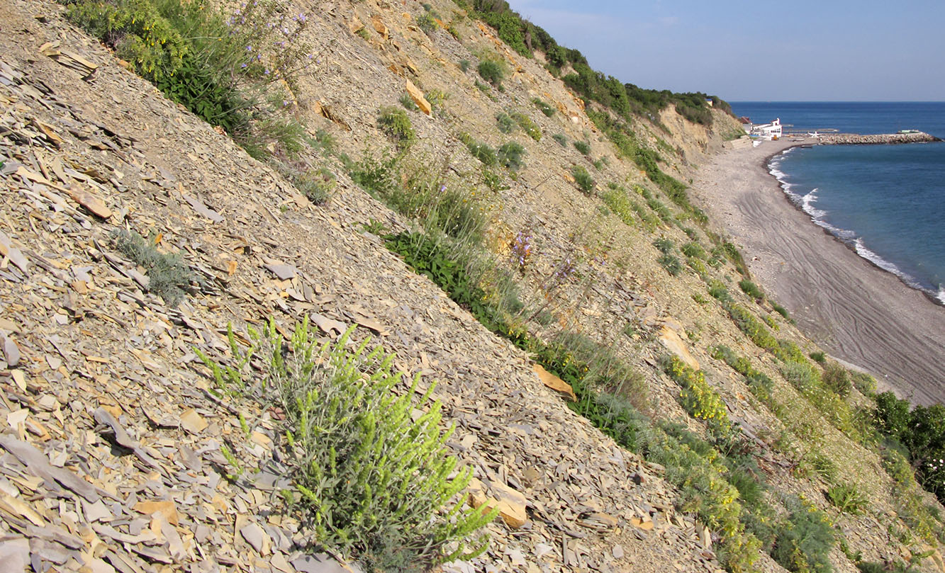 Гора Орёл, image of landscape/habitat.