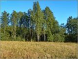 Перекат Рождественский, image of landscape/habitat.