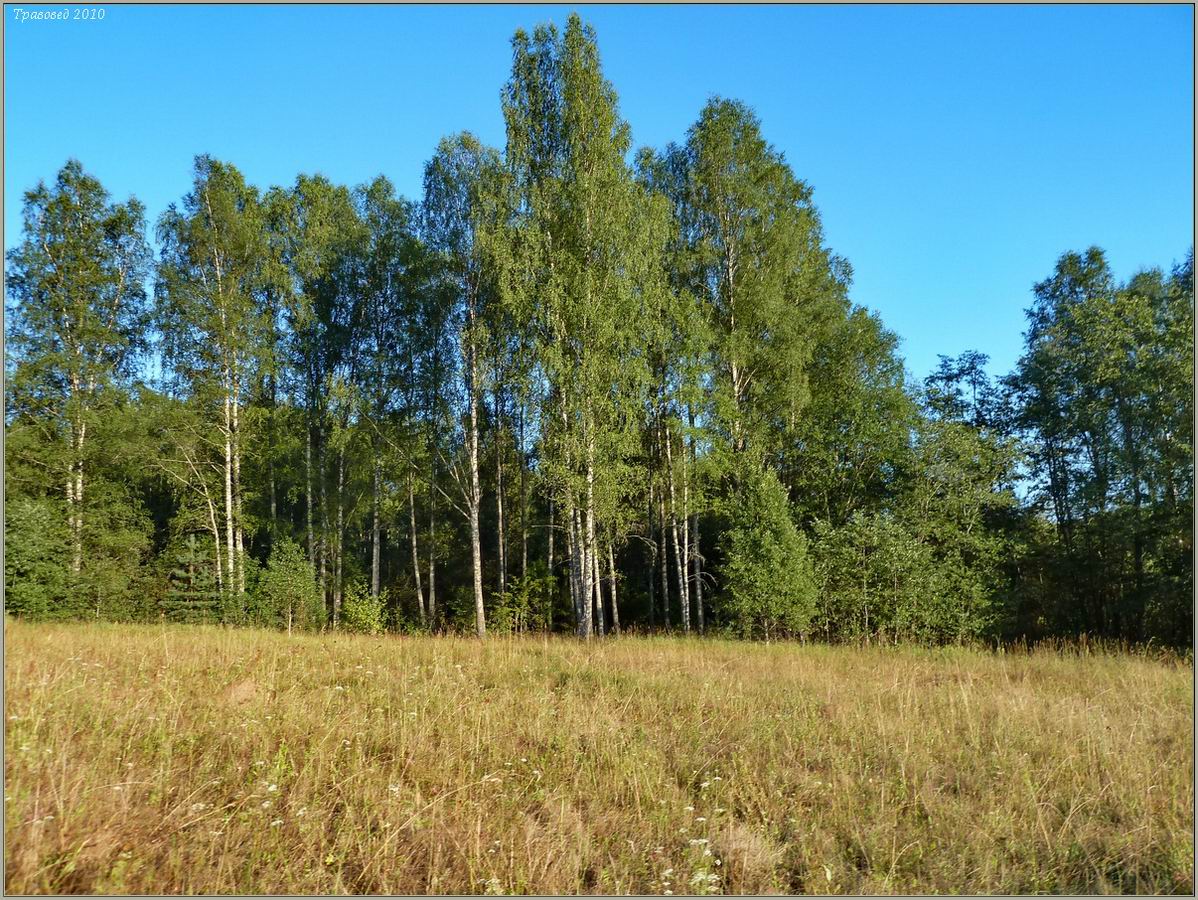 Перекат Рождественский, изображение ландшафта.