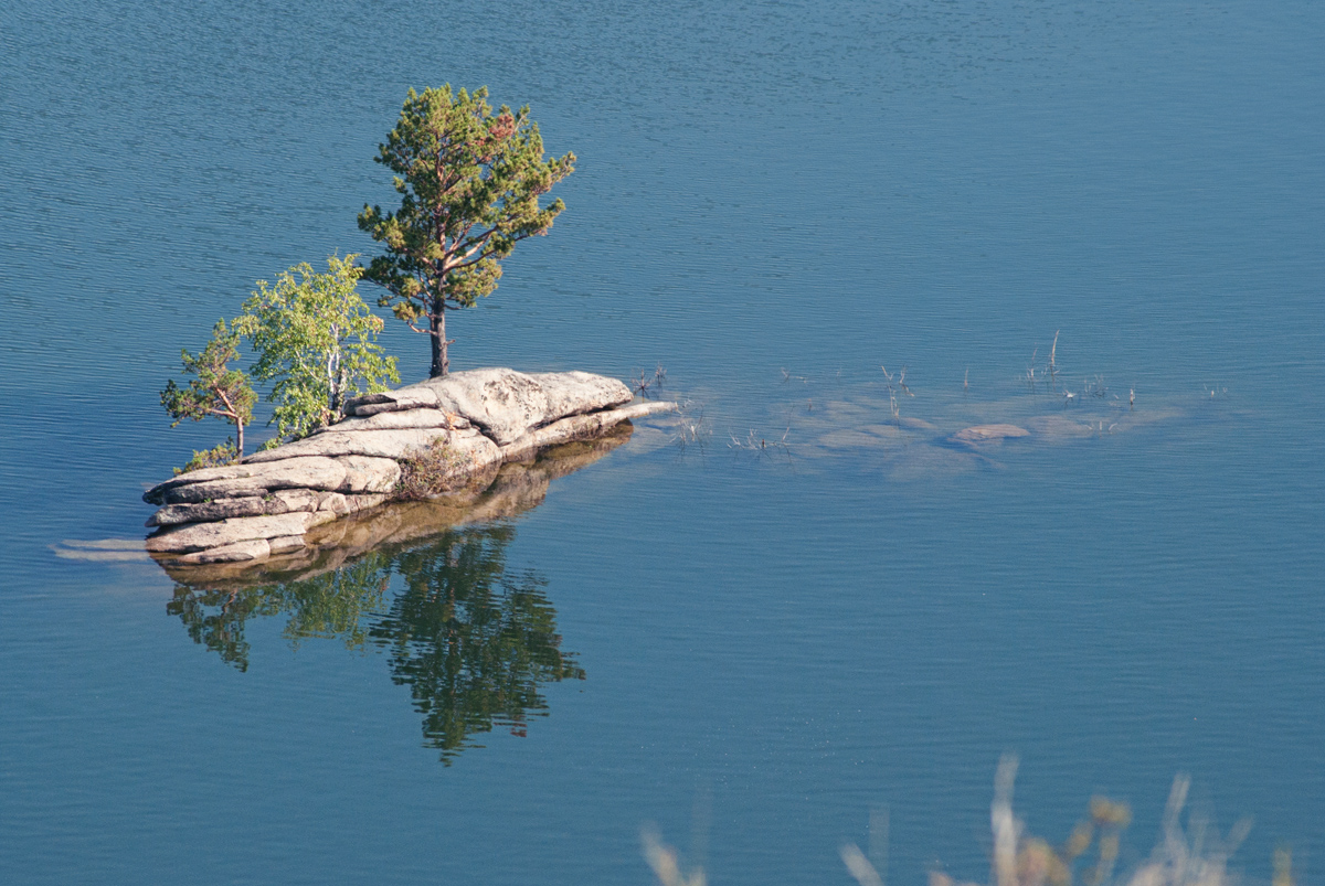 Окрестности Новой Бухтармы, image of landscape/habitat.