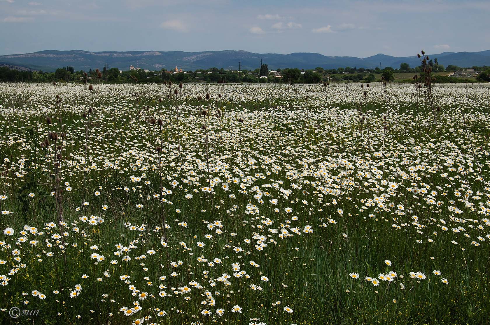 Байдарская долина, image of landscape/habitat.