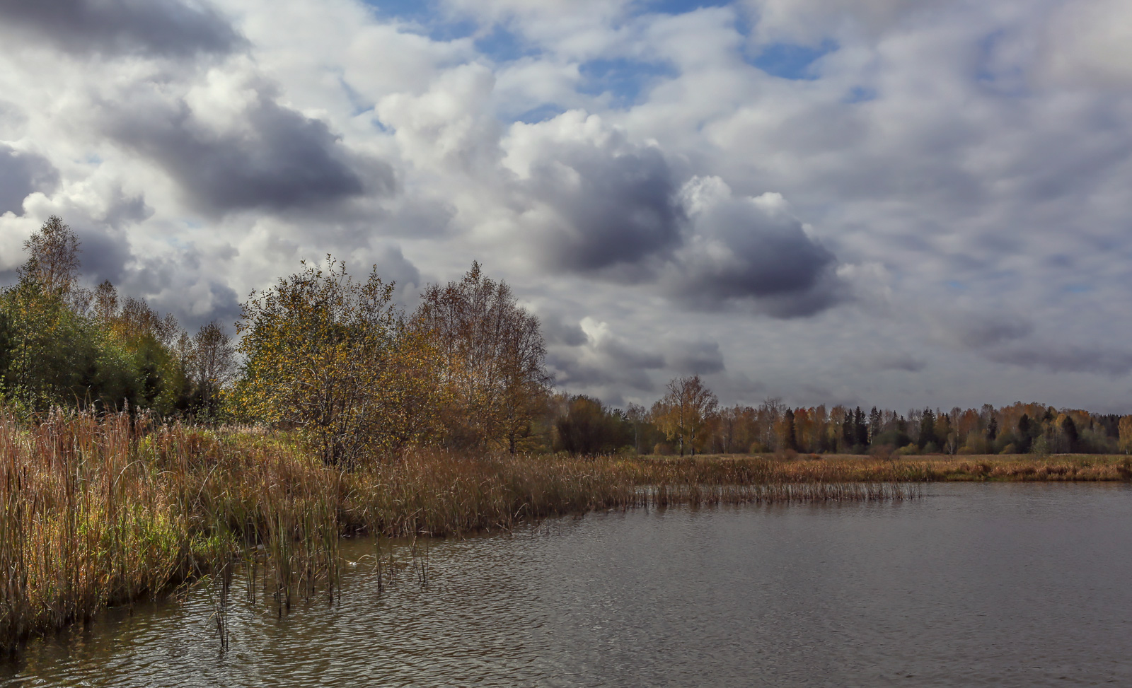 Низовья и устье Полуденной, image of landscape/habitat.