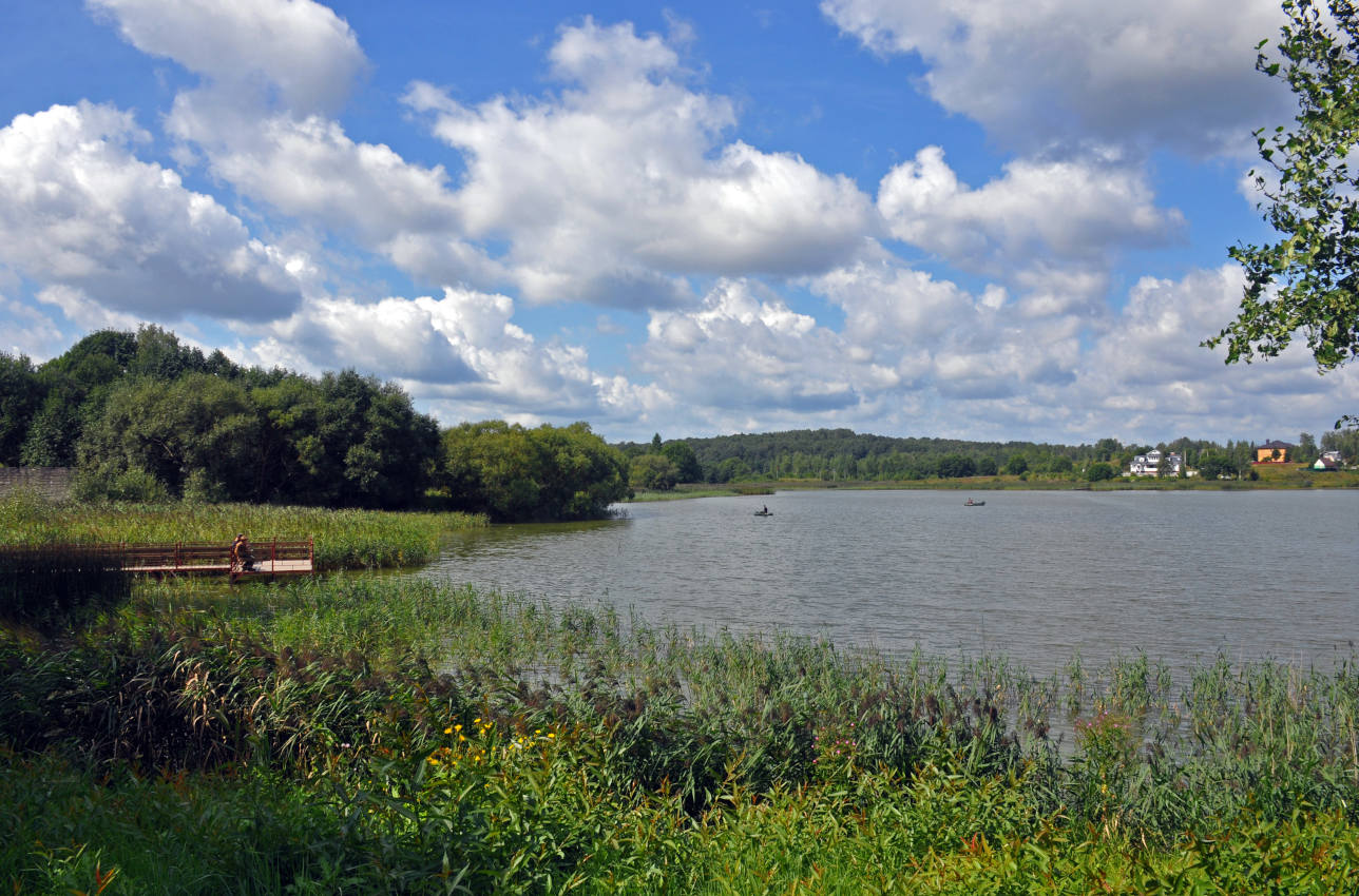 Флёново, image of landscape/habitat.