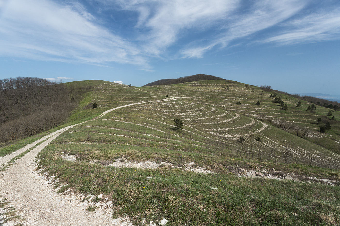 Отроги горы Совхозная, image of landscape/habitat.