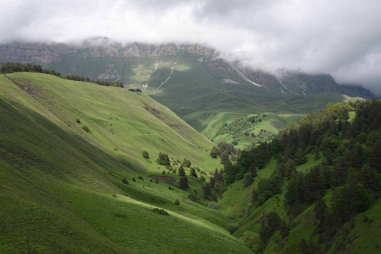 Окрестности урочища Кашети, image of landscape/habitat.