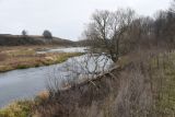Окрестности села Хитрово, image of landscape/habitat.