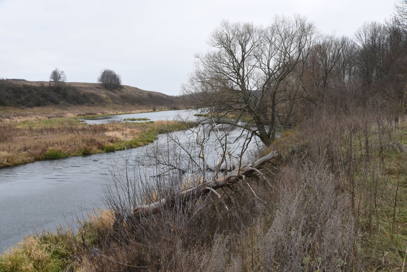 Окрестности села Хитрово, image of landscape/habitat.