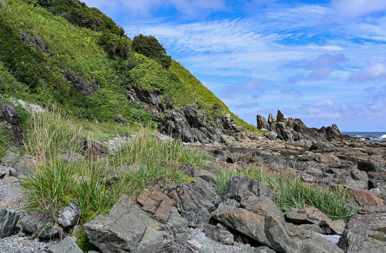 Мыс Острый, image of landscape/habitat.