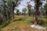 Image of landscape