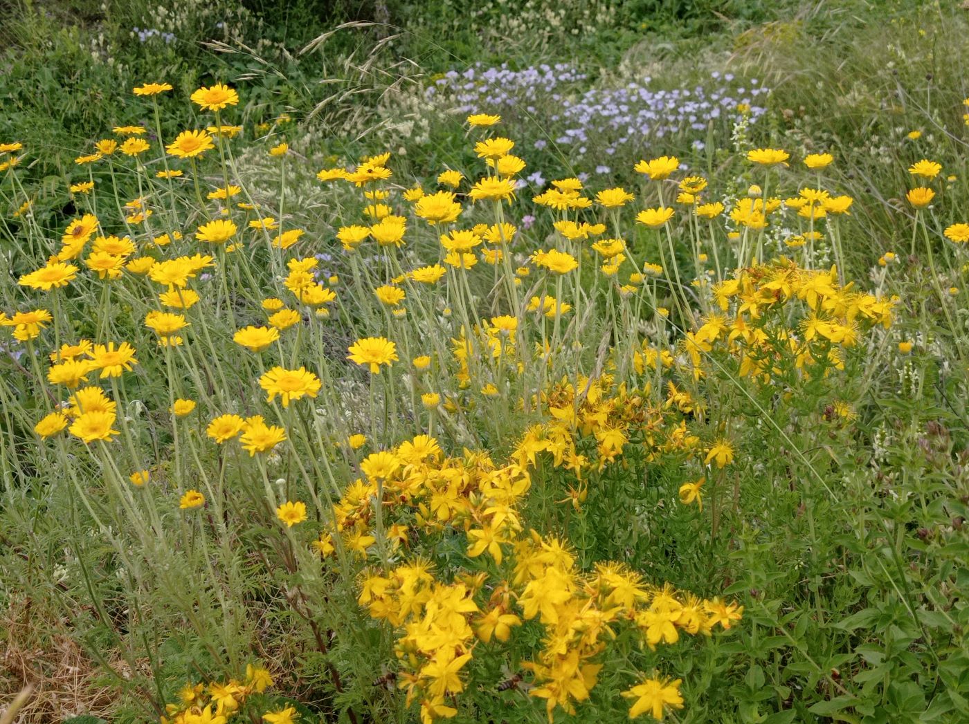 Старобельск, image of landscape/habitat.