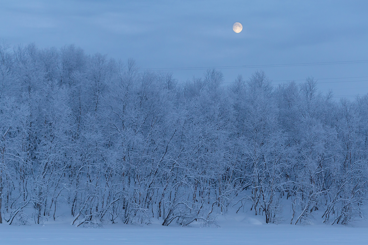 Мурманск, image of landscape/habitat.