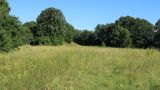 Местечко и окрестности, image of landscape/habitat.