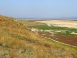 Image of landscape