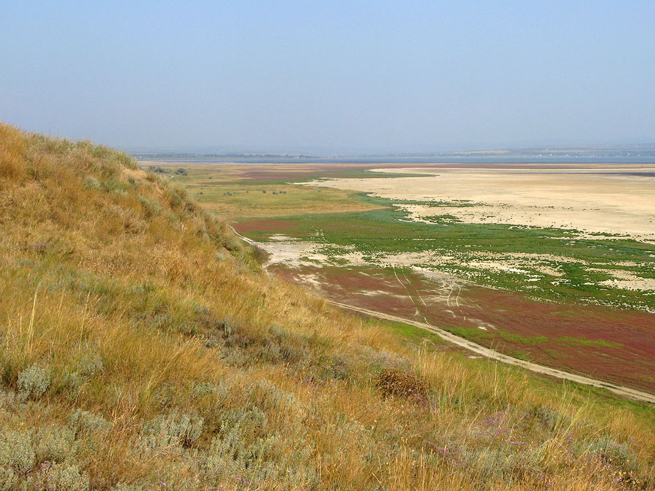 Витязевский лиман, image of landscape/habitat.