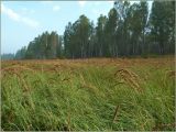 Перекат Рождественский, image of landscape/habitat.