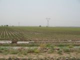Между Дезфулем и Шушем, image of landscape/habitat.
