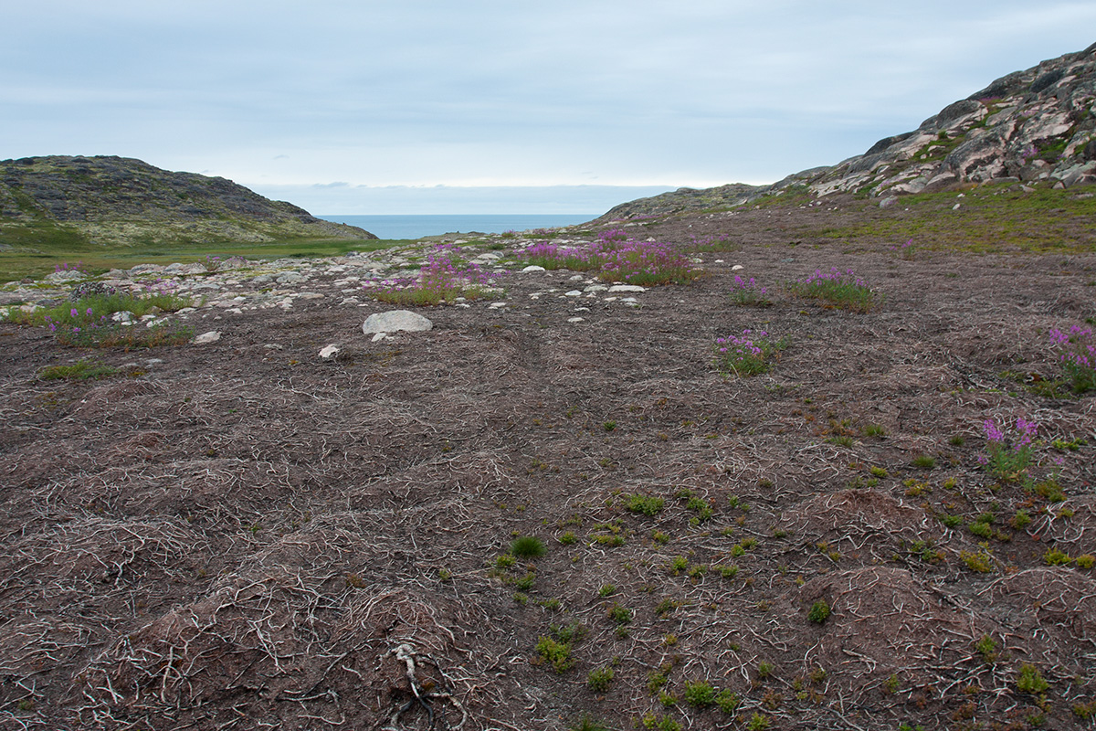 Экспериментальные озёра, image of landscape/habitat.