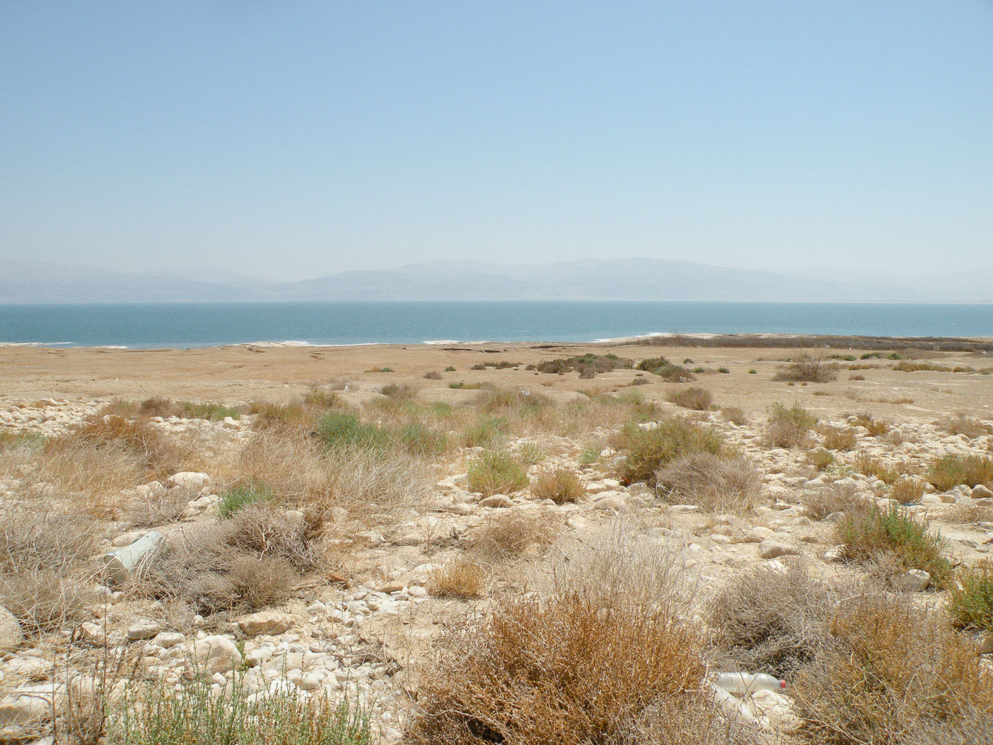 Эйн-Геди, image of landscape/habitat.