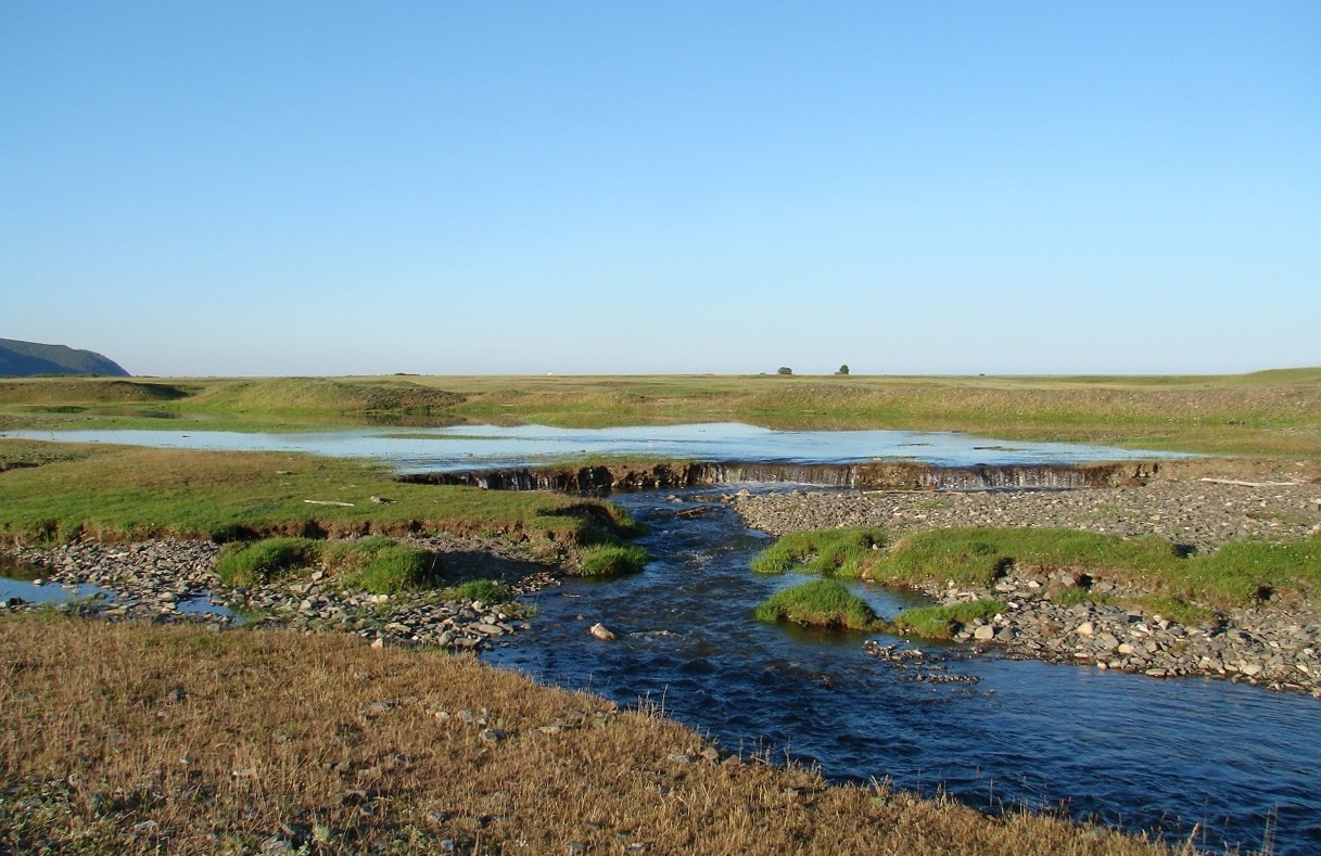 Большое Голоустное, image of landscape/habitat.