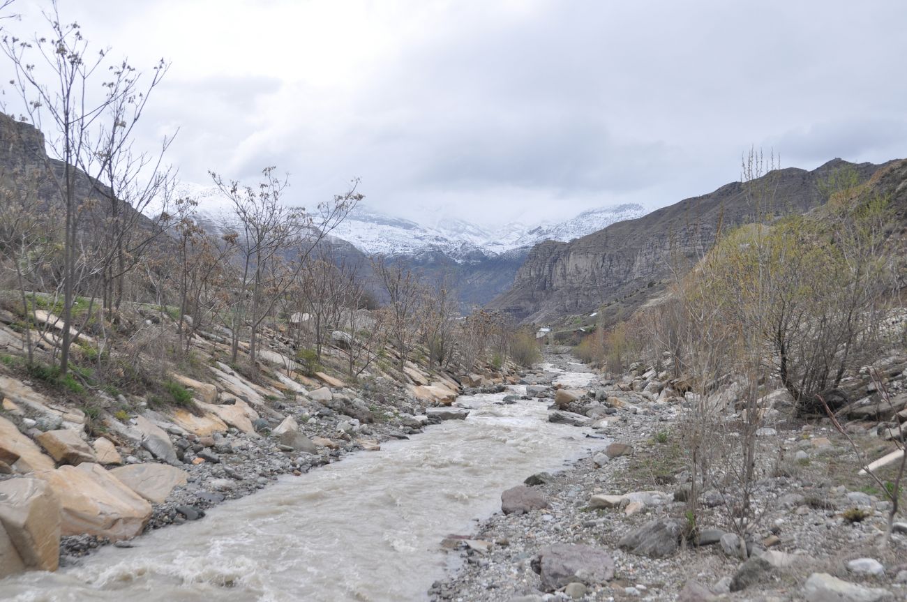 Окрестности села Чамлыямак, image of landscape/habitat.