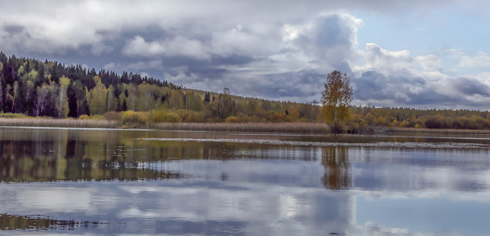 Низовья и устье Полуденной, image of landscape/habitat.