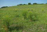 Image of landscape
