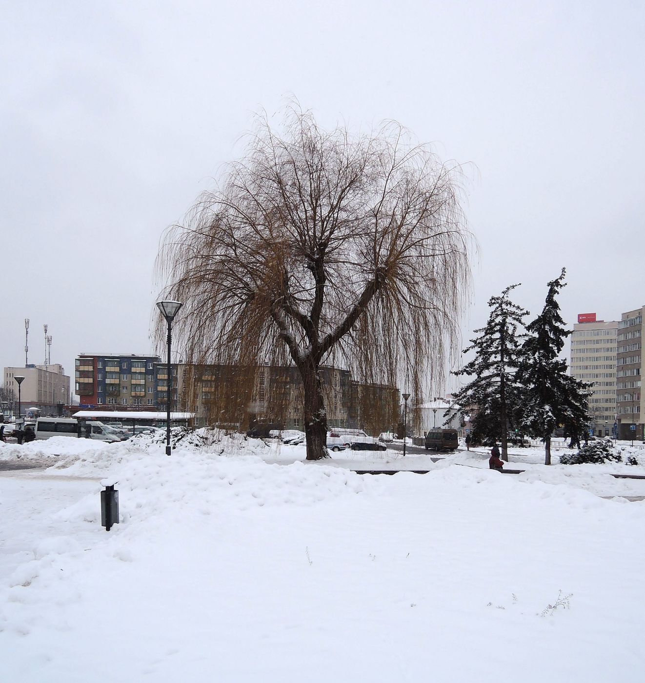 Гродно, image of landscape/habitat.