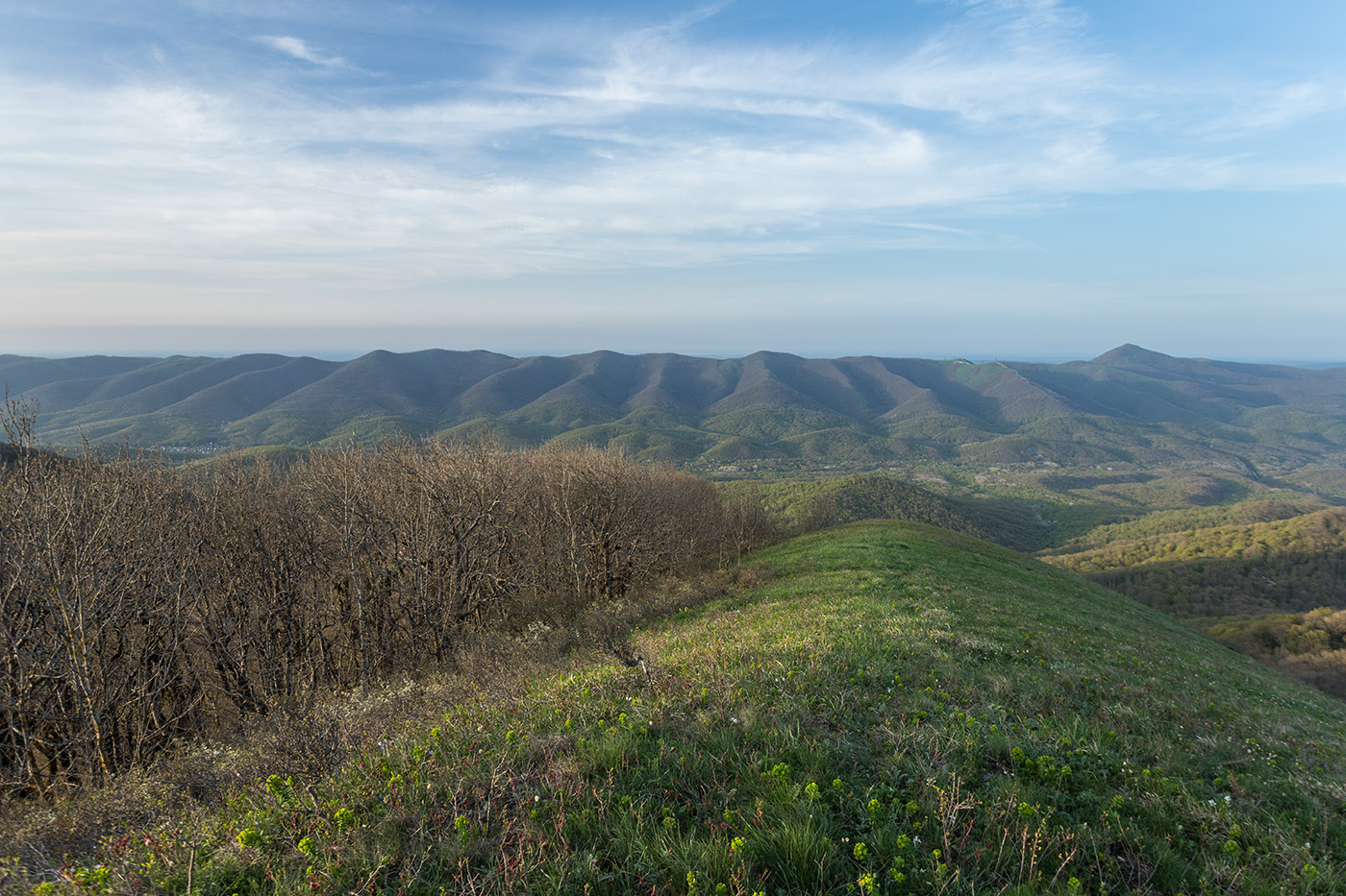 Отроги горы Совхозная, image of landscape/habitat.