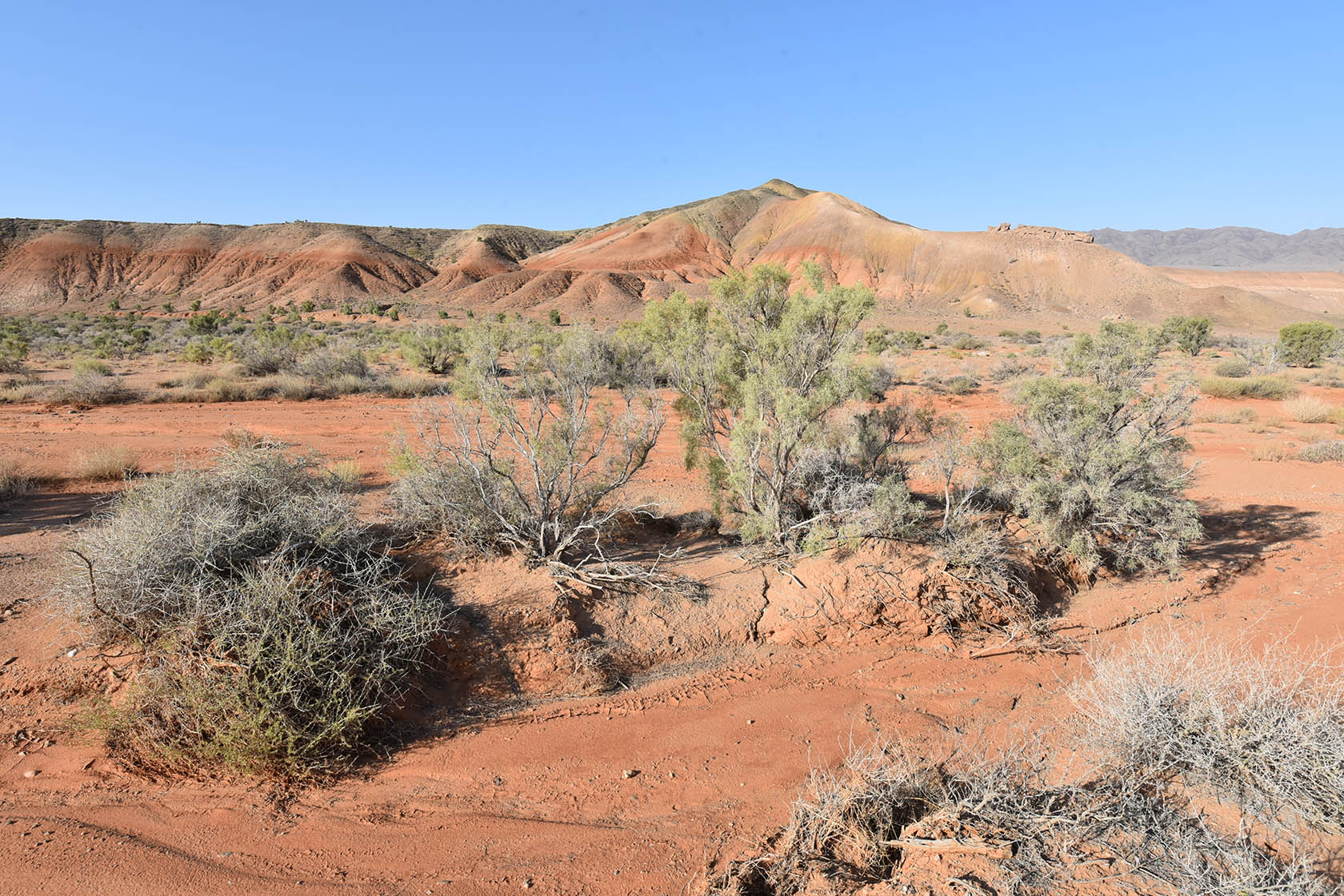 Горы Улькен-Богуты, image of landscape/habitat.