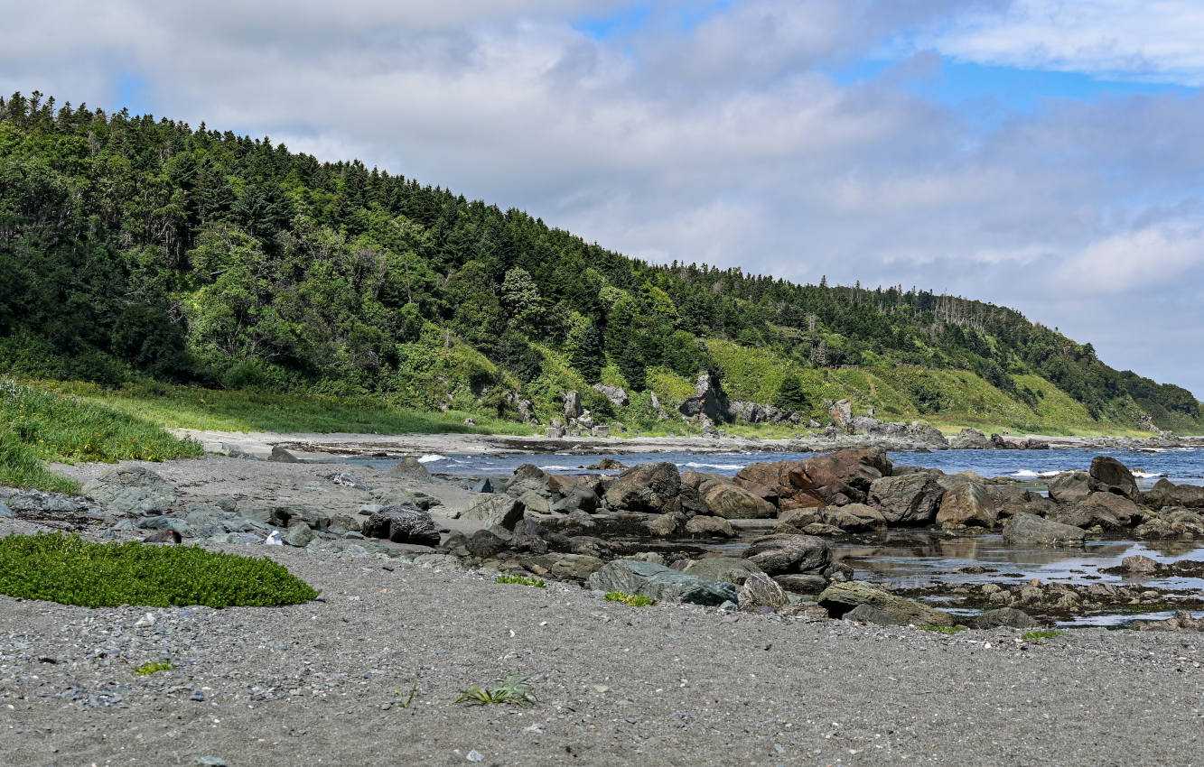 Мыс Острый, image of landscape/habitat.