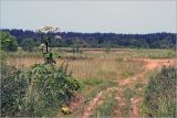 Image of landscape