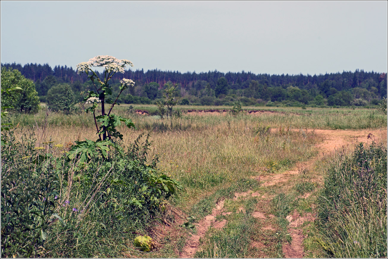 Эммаусс, image of landscape/habitat.