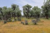 Image of landscape
