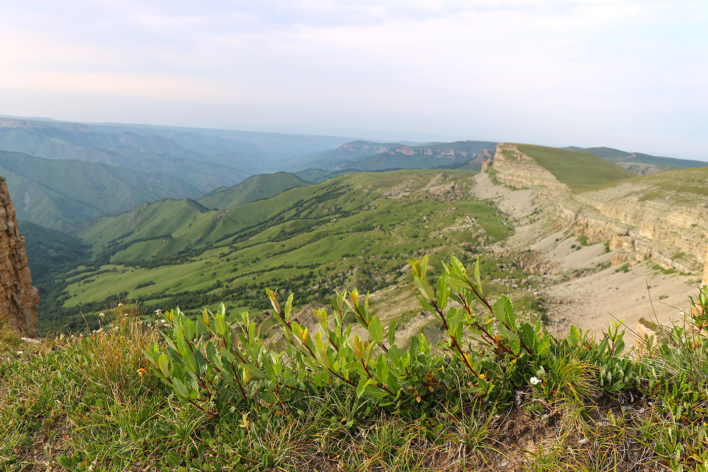 Большой Бермамыт, image of landscape/habitat.