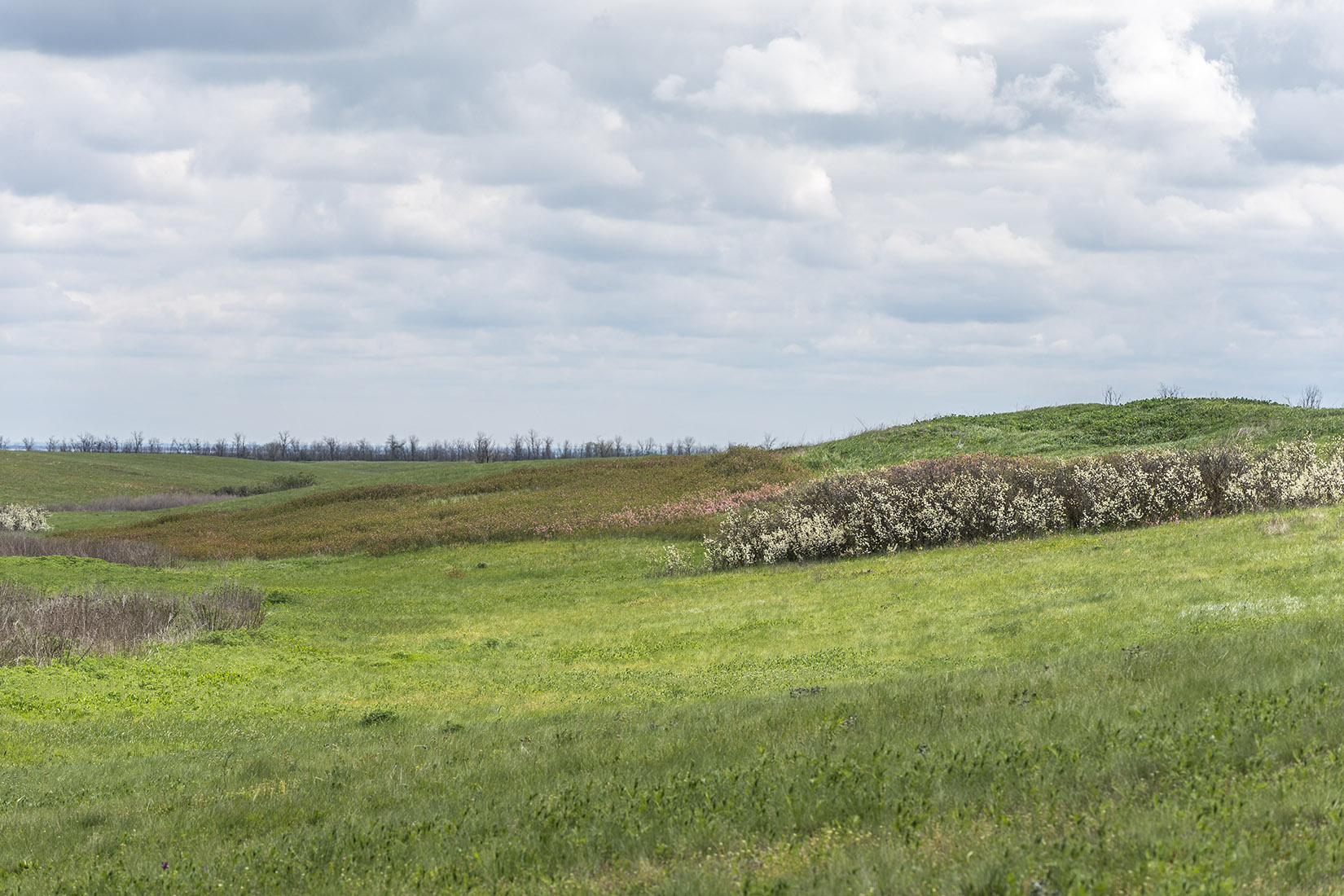 Хомутецкие балки, image of landscape/habitat.